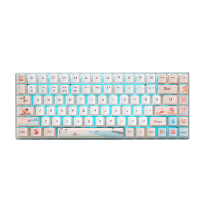 Bàn phím cơ Gaming Rapoo MT510PRO